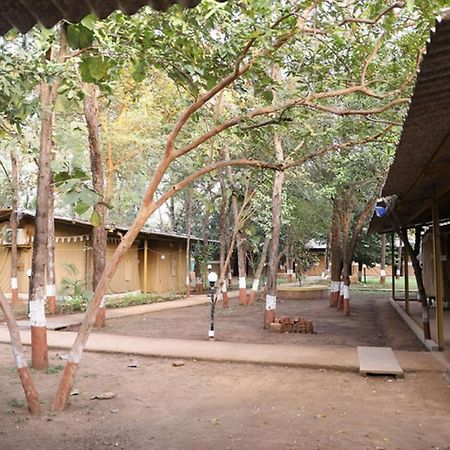 Nature Trails Sajan, Vikramgad Kudān Εξωτερικό φωτογραφία